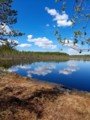 leivonmaen_kansallispuisto4_24.5.2022