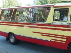 Nallet olivat päässeet tilausajon kyytiin.