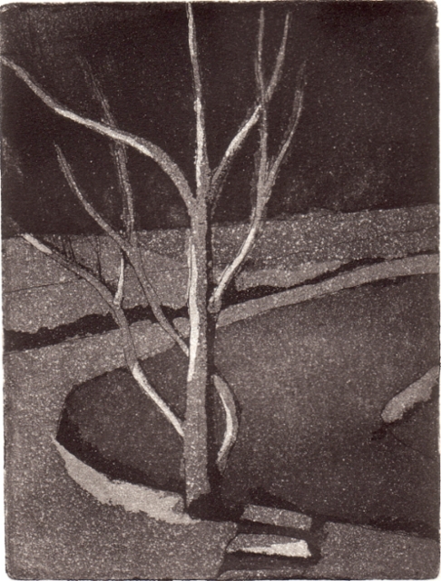 1986 Omenapuu, hinta 200 €