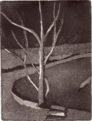 1986 Omenapuu, hinta 200 €