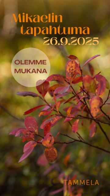 olemme_mukana_mikaelin_tapahtuma_story