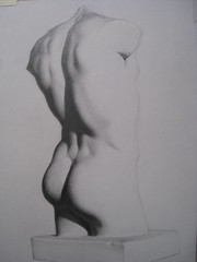 Miehen torso, yl&auml;vartalo