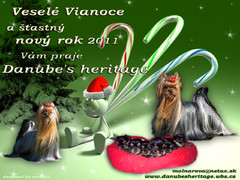 Danube`s Heritage Merry Christmas