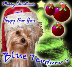 Merry Christmas -Blue Teodoro`s