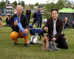 Gällivare Dogshow 29,06.14 Best In Group 2 place