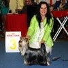 Ruddy World Winner Dogshow 3 place Intermedia Class