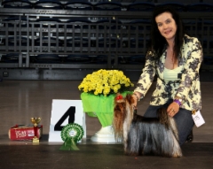 Dilu Tallinn Dogshow 27.9.15 Group Winner 4 place