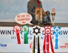 Wanda 3 v Tanskan MVA ja uusi Inter Champion