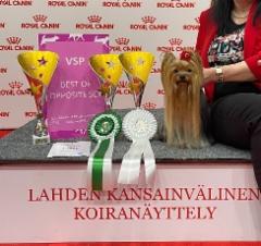 Wanda Lahden KV n&auml;yttely 2025