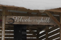 Blueberryhill