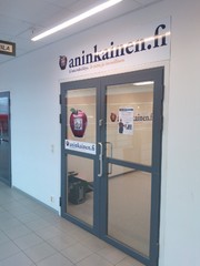 Opaste ja ikkunateippaus