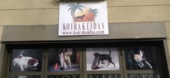 Koirakeidas