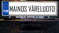 Rekisterikilven taustan tarra