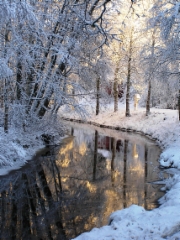 12_valokuva