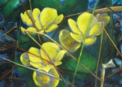 Rentukat/Marsh marigolds 2010