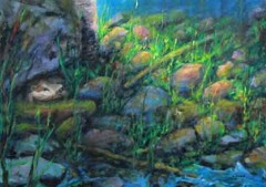 Sammakko/The Frog