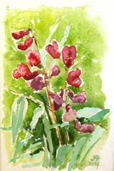 Kukkapostikortti, akvarelli