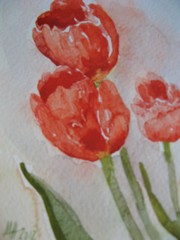 Kukkapostikortti, akvarelli