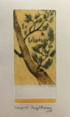 Ex Libris