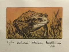 Suudelmaa odottamassa