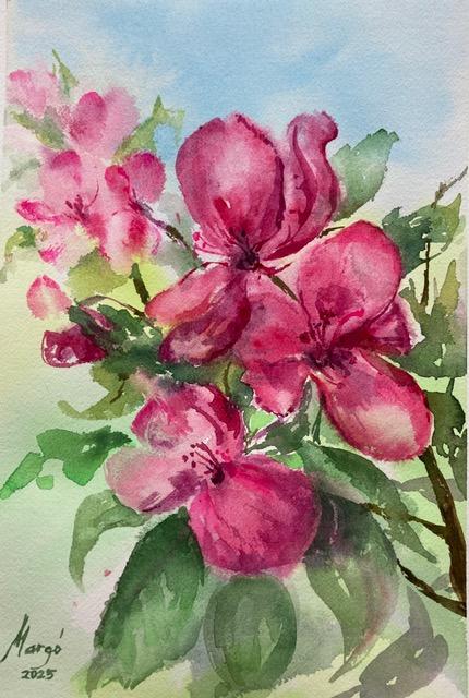 Koristeomenapuun kukkia