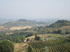 Italia - Toscana