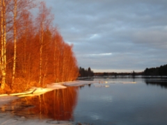 Keväinen Oulujoki