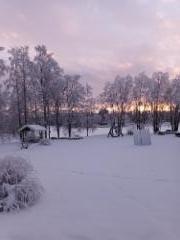 20260125_marketalta2