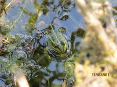 img_1287