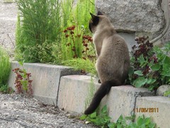 img_1336