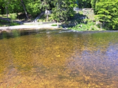 img-20230611-wa0004
