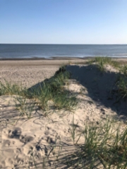 img-20230611-wa0061