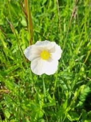 img-20250608-wa0019