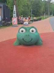 img-20250608-wa0034