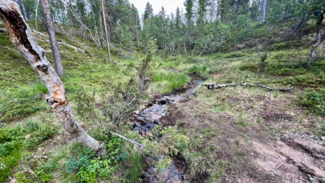 Saariselkä 5