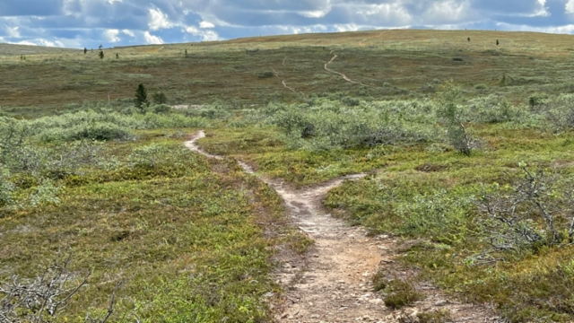 Saariselkä 1