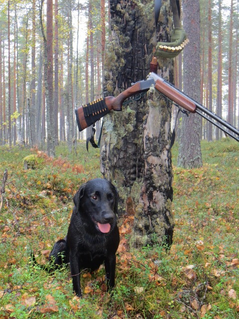 Tauko erämaassa 2013