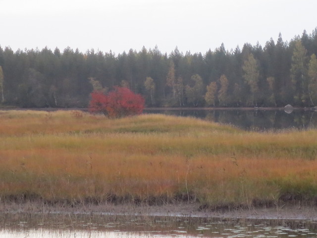 Syksyä Karjalassa 2013