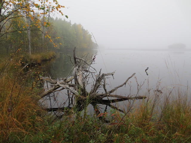 Erämaan järvi 2013