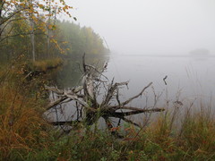 Erämaan järvi 2013