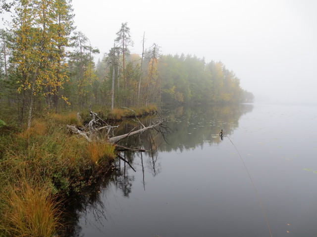 Syyspäivä eränmaa järvellä 2013