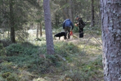 Dameja on l&ouml;ytynyt