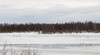 Salmijärvi 280412