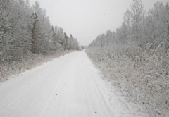 luminen_tie111116