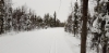 20191120_115648