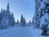 20210204_latu