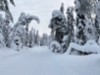 20210221_latu