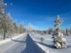 20210226_paarto