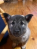 20210324_hilu