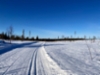 20210326_latu
